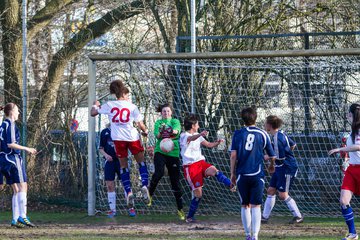 Bild 427 - Frauen HSV - SV Henstedt-Ulzburg : Ergebnis: 0:5